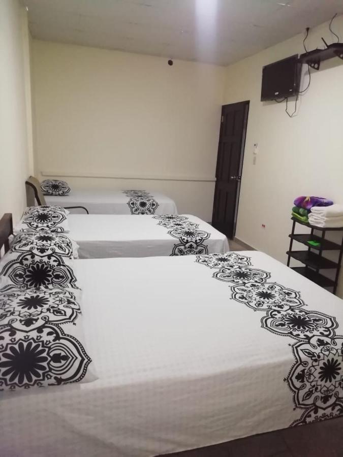 Hostal My House Your House เดวิด ภายนอก รูปภาพ