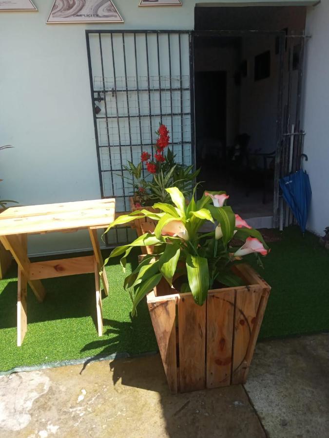 Hostal My House Your House เดวิด ภายนอก รูปภาพ