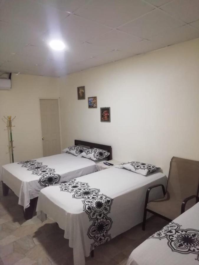 Hostal My House Your House เดวิด ภายนอก รูปภาพ