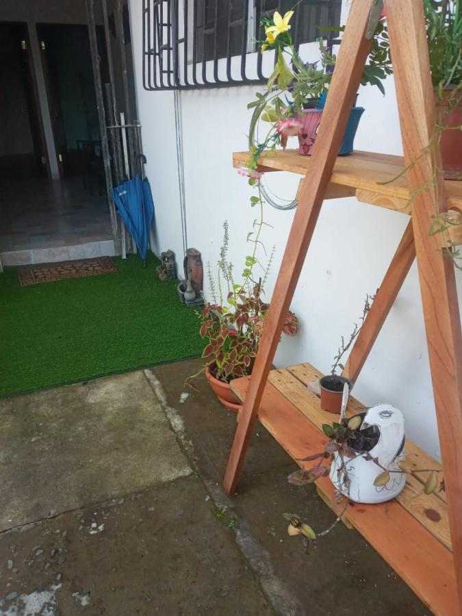 Hostal My House Your House เดวิด ภายนอก รูปภาพ